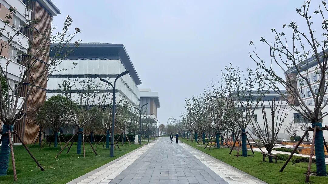 微信图片_20260525090458.jpg